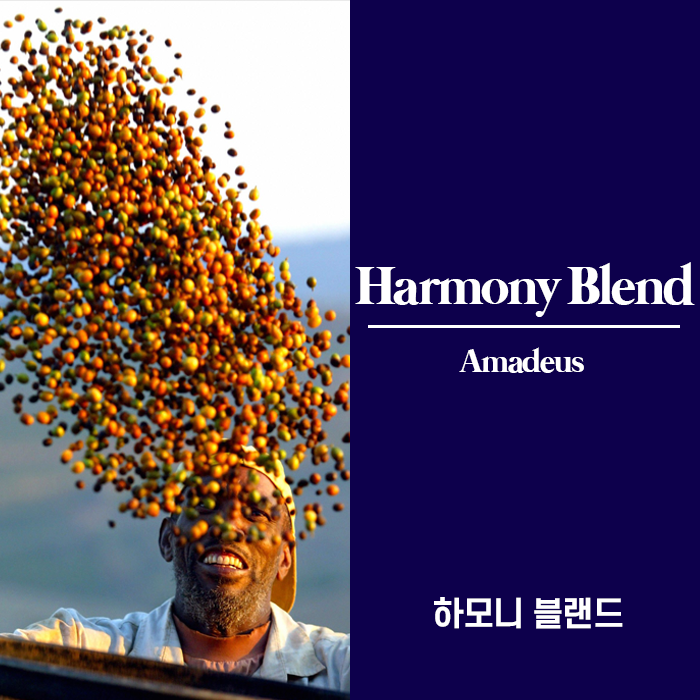 하모니 블랜드 (Harmony Blend) / 아마데우스 (Amadeus)